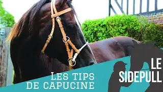 Les Tips de Capucine I Zoom sur le Sidepull 👀🌱