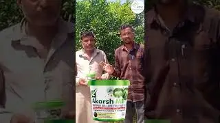 किसान भाईयों! फल मक्खी की समस्या का अंतिम समाधान - Akarsh ME पेस्ट!#akarshme #fruitfly #kinnow