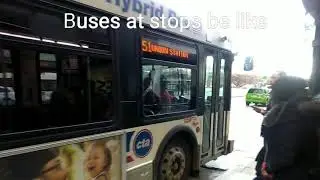 Buses at stops be like