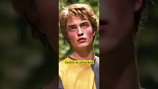 Did you notice this in HARRY POTTER AND THE GOBLET OF FIRE?? #harrypotter