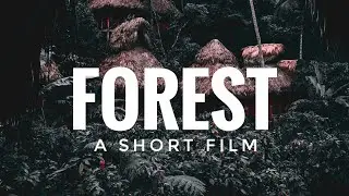 FOREST | B-Roll video l How to shoot b-roll videos #nature #forest