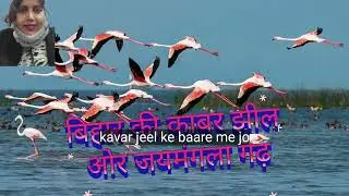 बिहार की काबर झील ओर जयमंगला गढ़