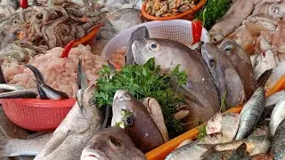 @تمارة