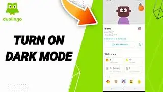 How To Turn On Dark Mode  On Duolingo App
