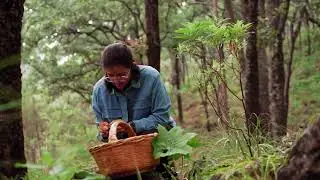 Women collecting healthy and delicious wild food!