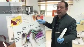 انزلاق الدِسك الغضروفي في مفصل الفك الصدغي / محاضرات طب الفم في عيادات طب الاسنان جامعة الكوفة