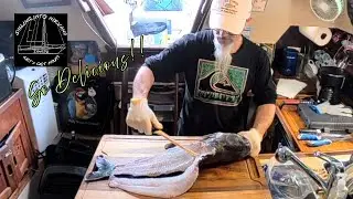 I Caught an 8 LB Catfish... Here’s What I Did Next | Episode 96
