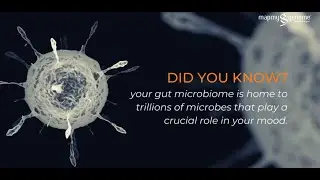 The mood makers - your gut microbiome | #shorts #mapmybiome