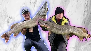 5 minutes about the  NORTHERN PIKE !