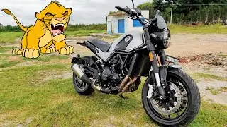 ಈ ಬೈಕ್ ನ ಹೆಸರು 'ಸಿಂಹದ ಮರಿ'!!🦁 | BENELLI LEONCINO 500