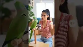 Fun with Parrot-69