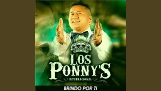 Brindo por ti