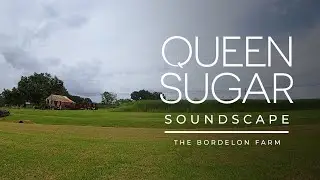 The Official QUEEN SUGAR Soundscape | Soothing Sounds From The Bordelon Farm