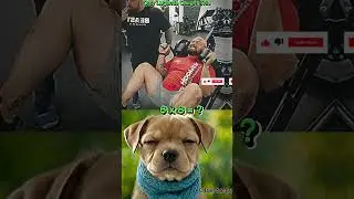 Get ready to laugh 😄😂#cat #meme #trending #shorts