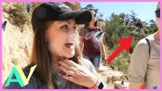 Attack of the Flies?! Senior Road Trip with Friends! / Aud Vlogs