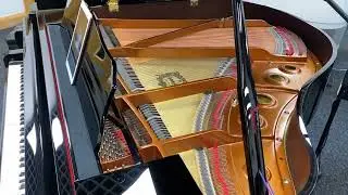 SHOWCASING THE PIANODISC PRODIGY II PLAYER SYSTEM