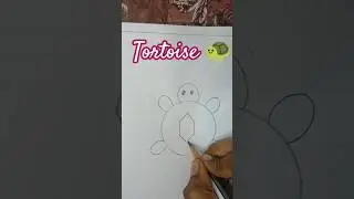 Step by Step Tortoise Drawing Tutorial#drawing #art #tortoise
