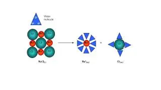 Hydration Energy And It's Trends In The Periodic Table :