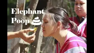 Chiang Mai | Karen Tribe Elephant Sanctuary Visit