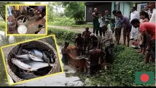 Fishing In Bangladesh (Syhlet) | BIG FISH CAUGHT!
