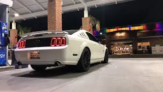 2005 Mustang GT Hot Rod Cams w/LTs