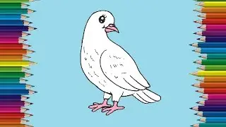 How to draw a dove cute and easy - Cartoon Dove drawing step by step