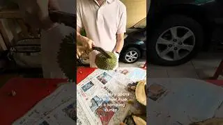 Kukri knife easily opened this village durian that has a thinner husk. #knife #durian #kukri #food