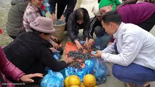 Single mother: Harvesting palm fruit to sell at the market - Caring for ducklings | Building a farm