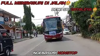 NGOYOD DEWI SRI CATALEYA FULL NGEBASURI NONSTOP 🤩#busmaniacomunity #basuri 