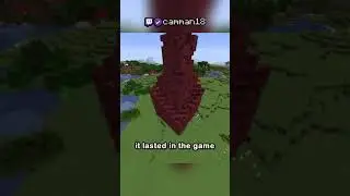 the nether reactor core in 2021