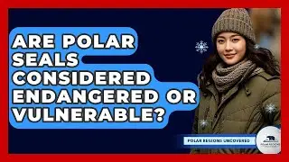 Are Polar Seals Considered Endangered Or Vulnerable? - Polar Regions Uncovered