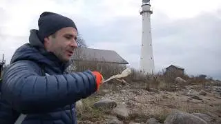 Walk the island KIHNU