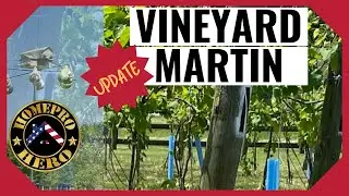 Vineyard and Purple Martin Check-Up: A Comprehensive Guide to Maintenance