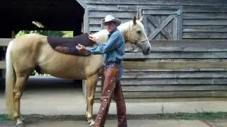 Ed Dabney , Gentle Horsemanship International. www.eddabney.com