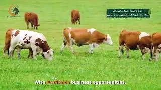 Pakistan&rsquo;s first Agro Luxury Farmhouse project | Risala Agro Farms