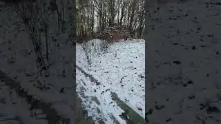 Winter in Vilnius 2022
