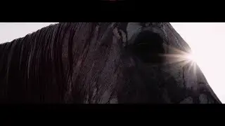 All Hail! The Bloody King [Ballads of The Revelation] // With lyrics