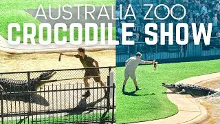 Australia Zoo Crocodile Show With Robert Irwin, Terri Irwin & Chandler Powell