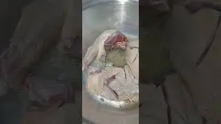 عملنا احلي وليمه من بطايه🤩🤩😘 