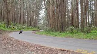 Ducati 996 V2 848SF Termigoni sound 