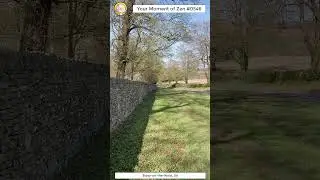 ScienceMan Moment of Zen 0546 #peaceful #hike #walk #cotswolds #uk #nature #asmr