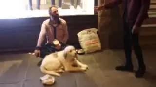 Ce SDF et son chien ne s'attendaient pas à ça...