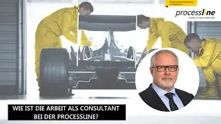 Wie ist die Arbeit als Consultant bei der processline GmbH?