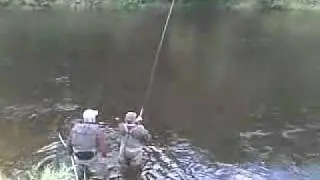 Salmon from Fort William Lismore.mp4