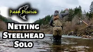 NETTING STEELHEAD SOLO - 