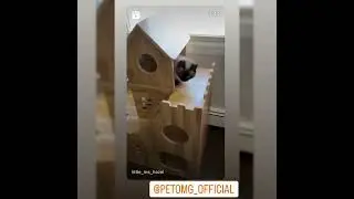 A Unique Cat House & Cat Condo #cat #home #interiordesign #homedecor #pets