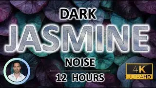 Dark Jasmine Sleep Sounds | Deep Ambient Noise for Relaxation, Study Focus | 12 Hours