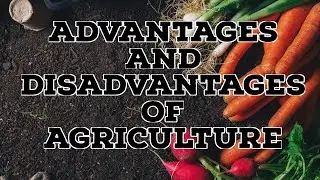 ADVANTAGES AND DISADVANTAGES OF AGRICULTURE