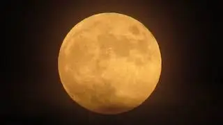 Buck Moon | 4th of July, 2020