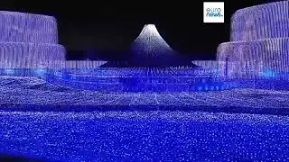 'Only in Japan can you see this!' Inside Nabana no Sato's winter illuminations